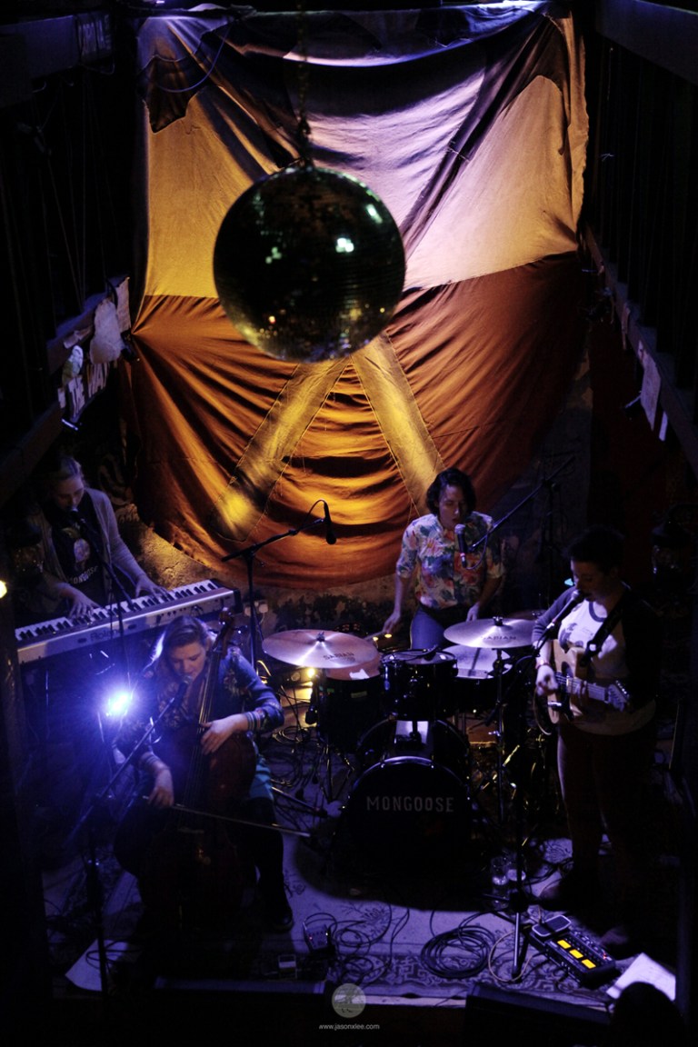 web_Mongoose_Eve_Connollys_IMG_7572