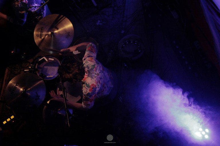 web_Mongoose_Eve_Connollys_IMG_7582