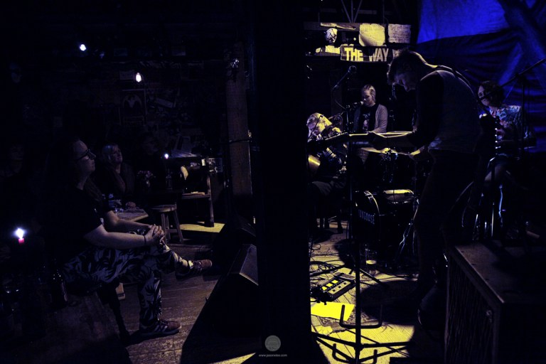 web_Mongoose_Eve_Connollys_IMG_7616