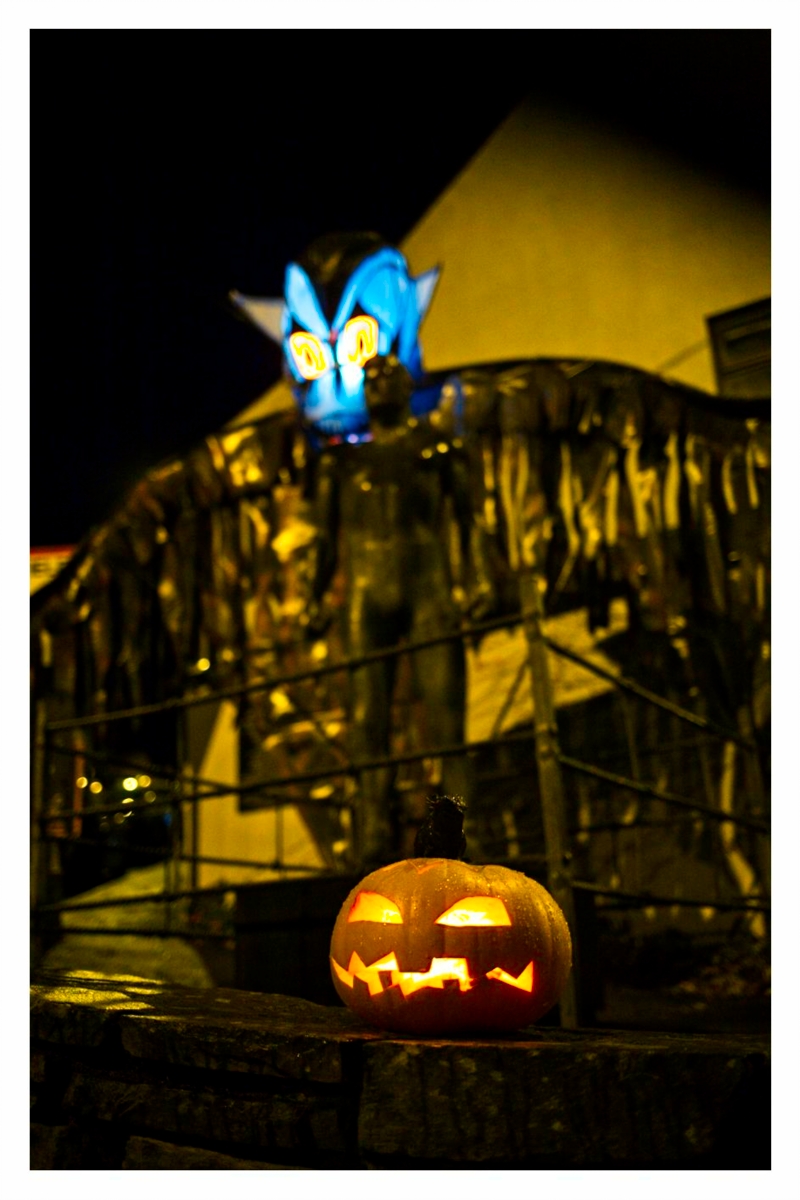 web_C19_L5_Samhain_IMG_9519