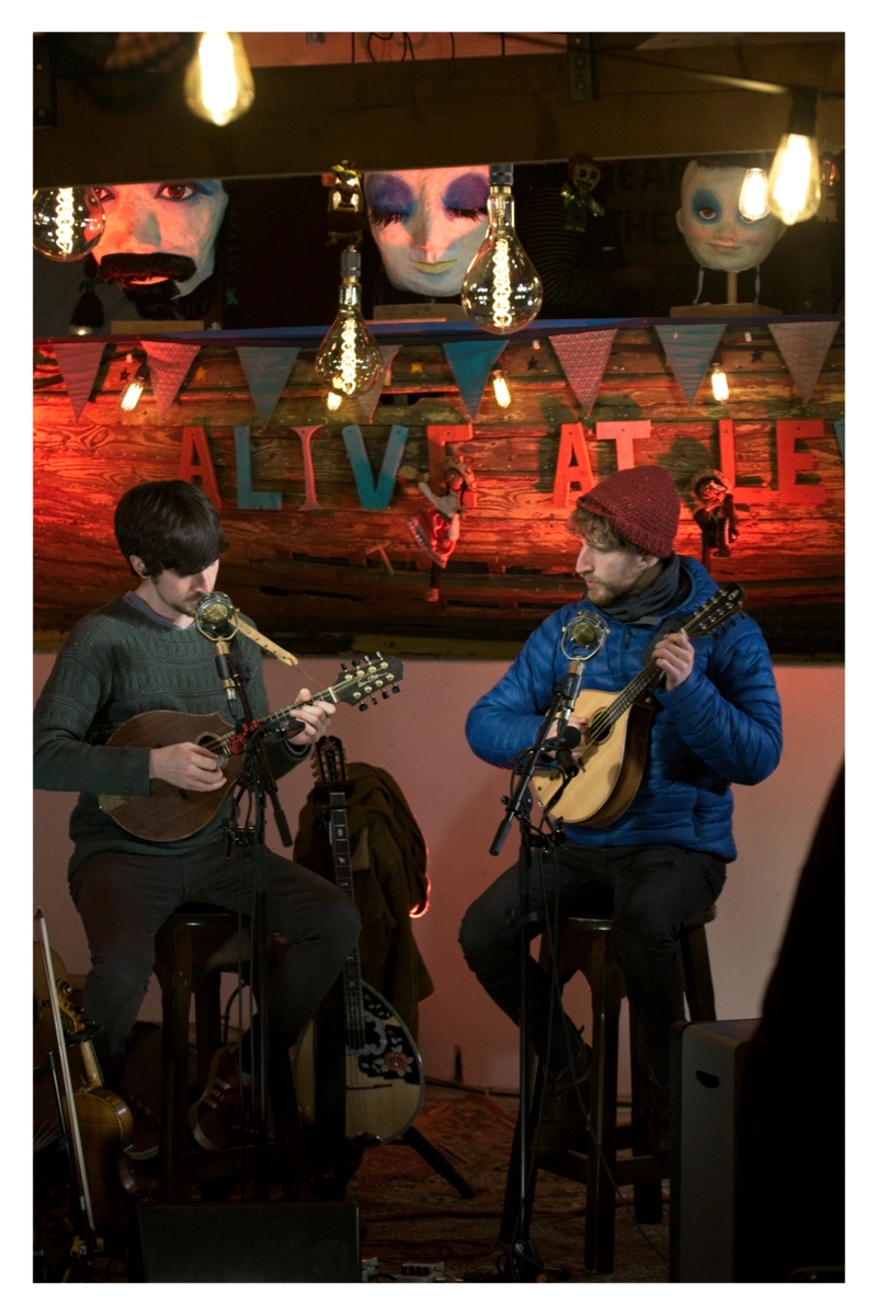 Alive In The Cracks - Levis Corner House